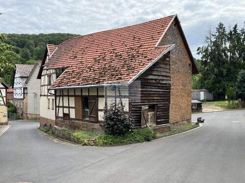 IMG_7324 Gesamtansicht hinten - Einfamilienhaus zum Kaufen in Homberg