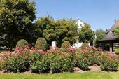 Gartenansicht - 3 Zimmer Hotel, Pension, Gasthof in Bad Pyrmont