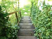 Treppe zum Garten - 