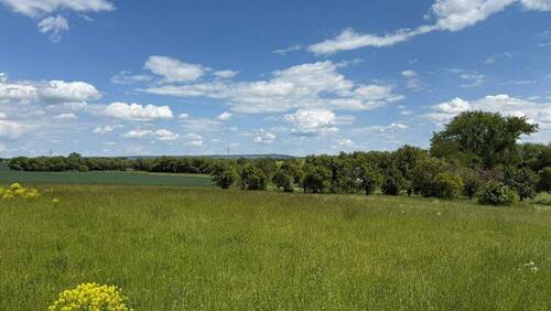 Baugebietssafari in Marlishausen - Grundstück in Sömmerda