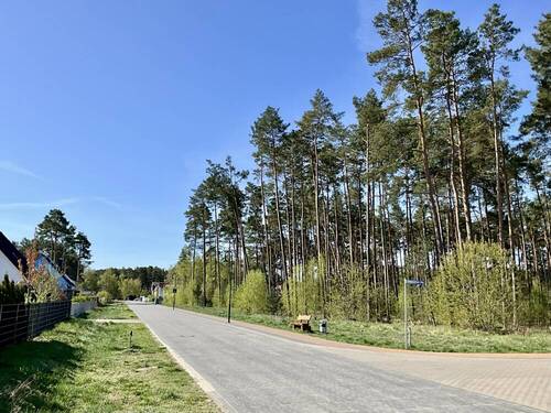 Blick in die Straße - 
