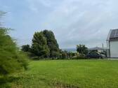 IMG_8098 - 