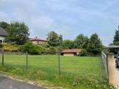 IMG_8095 - 