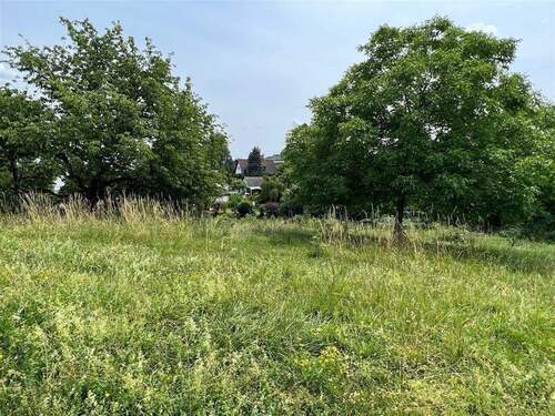 Baugrundstück - Grundstück zum Kaufen in Salem