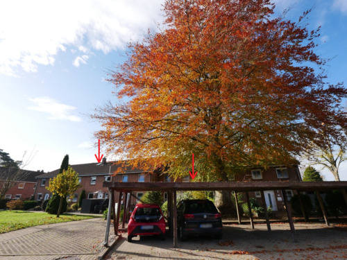 Außen - Carportstellplatz nah am Haus - 4 Zimmer Reihenmittelhaus zum Kaufen in Osterrönfeld