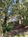 Blick zum Bungalow - Grundstück in Gera zum Kaufen