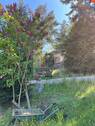 Massiver Bungalow - 
