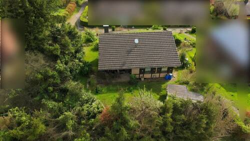 Drohnen Aufnahme Sommer - 