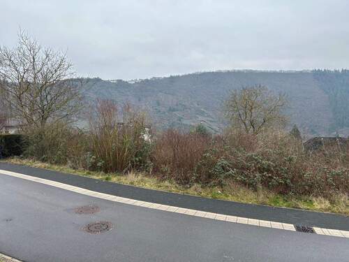 Straßenansicht - Grundstück zum Kaufen in Traben-Trarbach