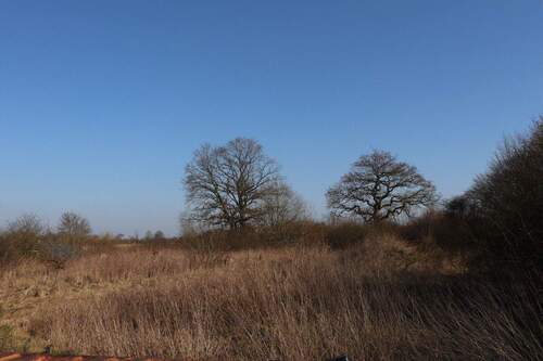 Gewerbegrundstück - Attraktives Gewerbegrundstück in Schleswig-St. Jürgen zu verkaufen! Ihr Partner: OTTO STÖBEN!