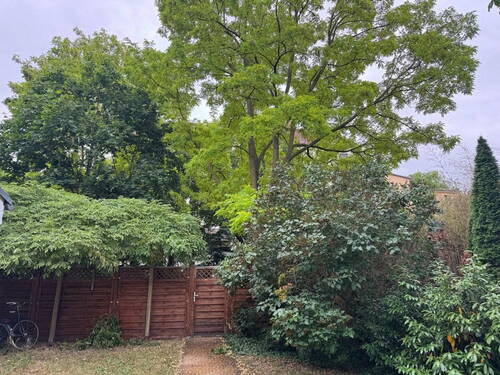 Blick in den Garten - 5 Zimmer Einfamilienhaus in Potsdam