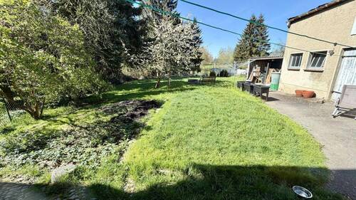 Blick in den Garten - 