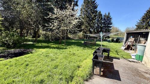 Blick in den Garten - 