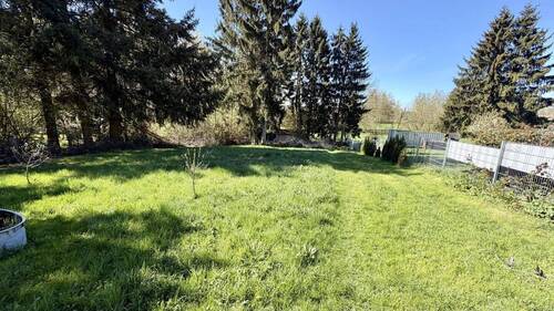 Blick in den Garten - 