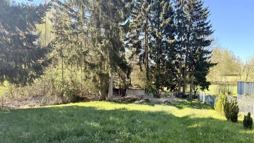 Blick in den Garten - 