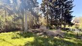 Blick in den Garten - 
