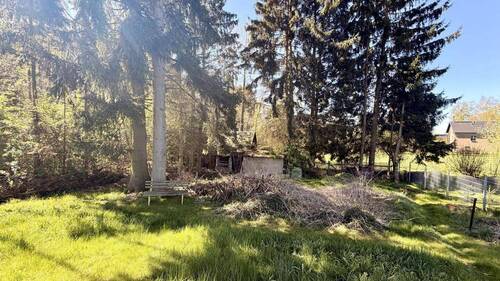 Blick in den Garten - 