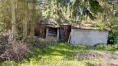 Blick in den Garten - 