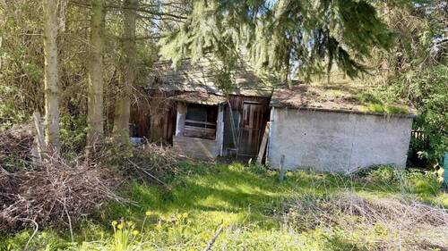 Blick in den Garten - 