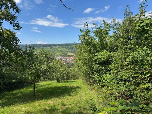 Von Oben - Grundstück in Remshalden zum Kaufen