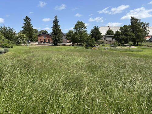 Gartenbereich - 