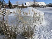 Garten im Winter - 
