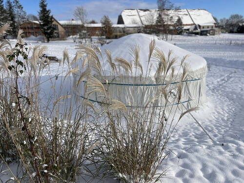 Garten im Winter - 