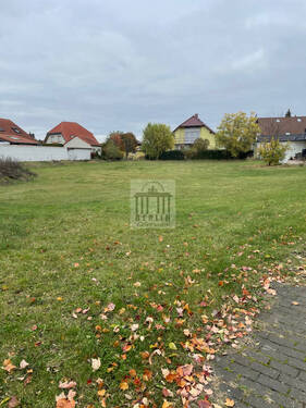 IMG_3228 - Grundstück in Dahme/Mark