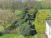Garten - 2 Zimmer Etagenwohnung zur Miete in Oelsnitz/Erzgebirge