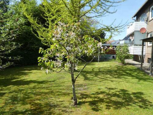 Gemeinschaftsgarten2 - 