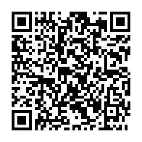 QR-Code - 