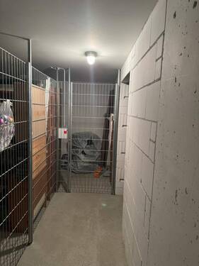 Blick in den Keller. - 