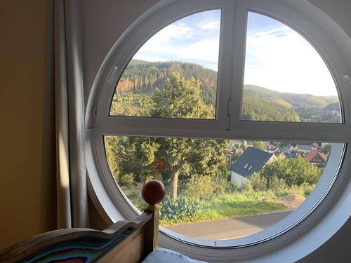 2.OG Schlafzimmerfenster - 
