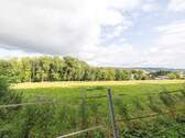 zugehörige Wiese - 