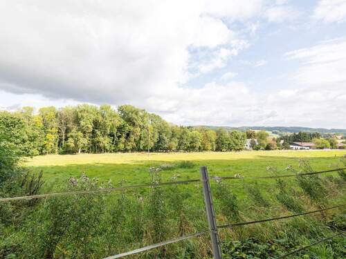 zugehörige Wiese - 