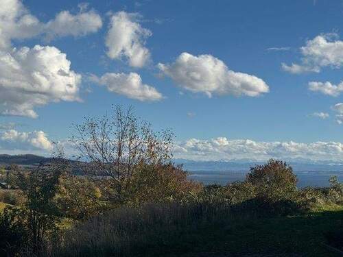 IMG_8502 - Im Grünen wohnen und den See- und Bergblick genießen !
