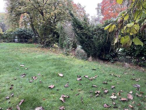 Grundstück - Grundstück in Leverkusen zum Kaufen
