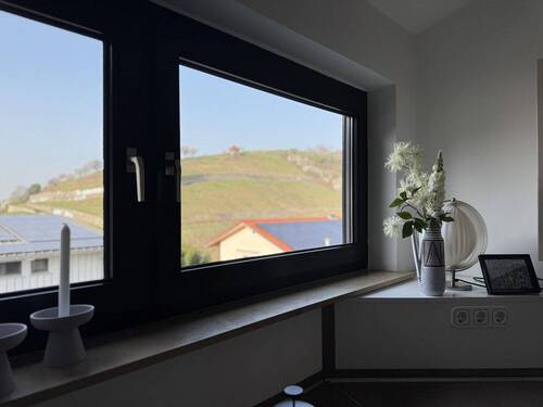 Mit Blick in die Weinberge - 