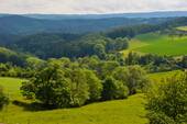 Bild 14 - 