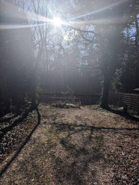 Öffentlicher Spreezugang - 