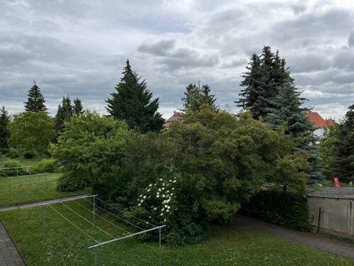Detailansicht - 