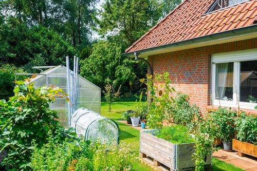 Bauen Sie Ihr Gemüse selber an - 