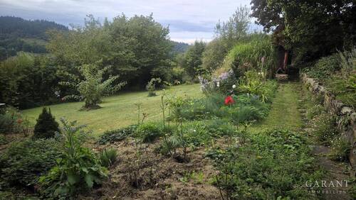 Garten2 - 3 Zimmer Einfamilienhaus in Weinheim