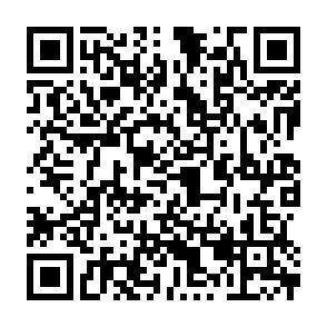 QR-Code - 