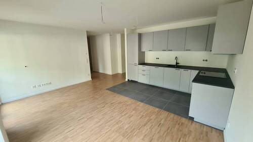 Moderne Einbauküche Detailansicht - 