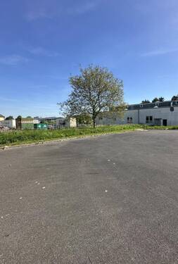 Freifläche hiner der Halle - 