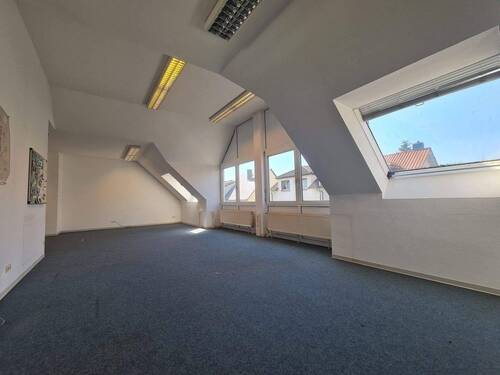 20250430_104942.jpg - 