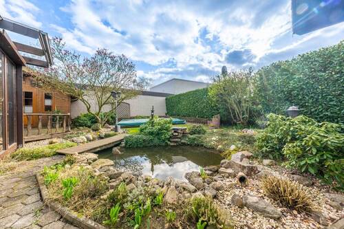 und den Fischen zuschauen - 