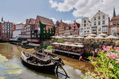 DSC_3101_1 - 