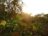 herbstlich - 
